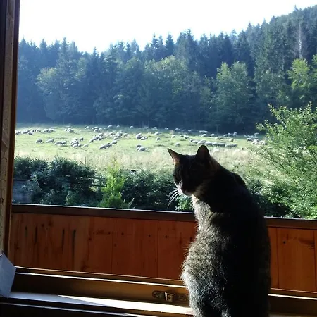 Séjour chez l'habitant Wynajem Pokoi-willa Pod Smrekami