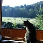 Séjour chez l'habitant Wynajem Pokoi-willa Pod Smrekami